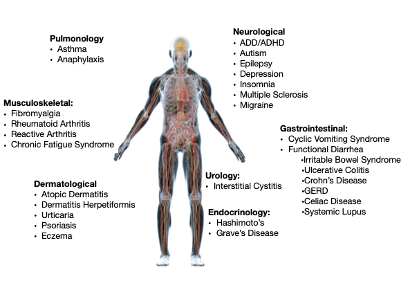 Anti-Inflammatory Diet